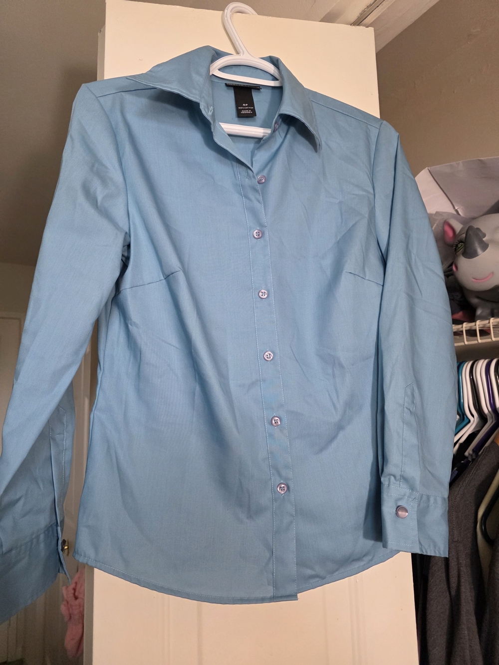 Petite Sophisticate Light Blue Button-Down Blouse
